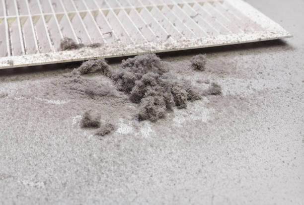Best HVAC Air Duct Cleaning  in Cedar Heights, MD