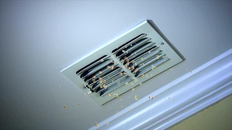 Best Best Air Duct Cleaning Company  in Cedar Heights, MD