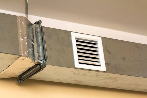 Best Affordable Duct Cleaning Services  in Cedar Heights, MD